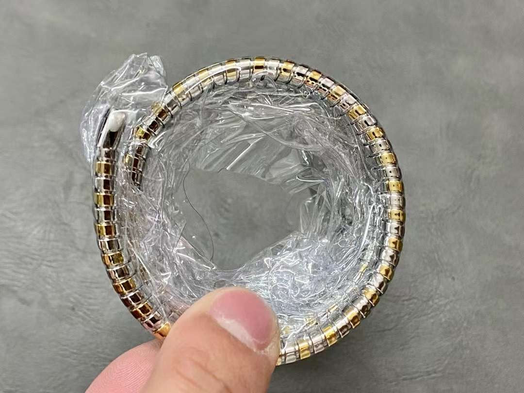 Bvlgari Serpenti Spig Series Wrist Watch WAT02084