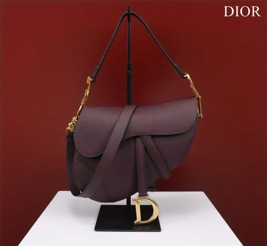Dior Saddle Bag BG02375