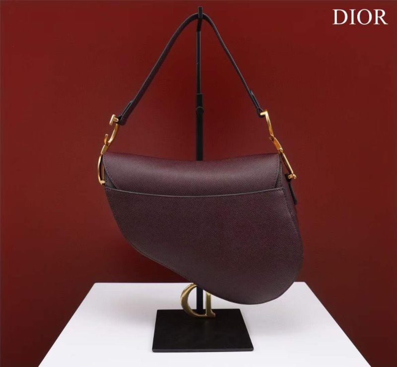 Dior Saddle Bag BG02375