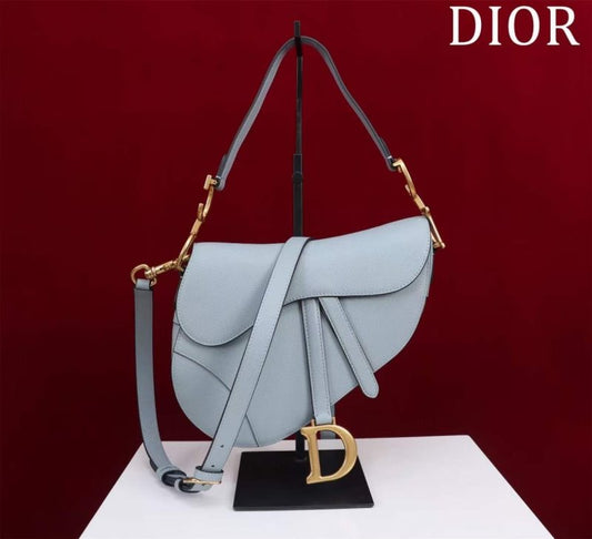 Dior Saddle Bag BG02379