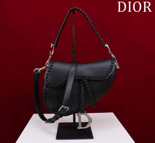 Dior Saddle Bag BG02385