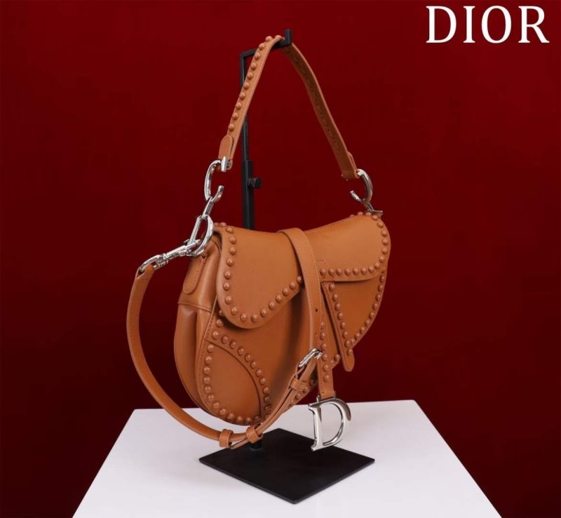 Dior Saddle Bag BG02386