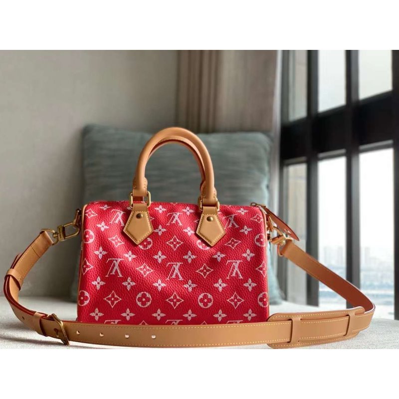 Louis Vuitton Speedy Hand Bag BG030509