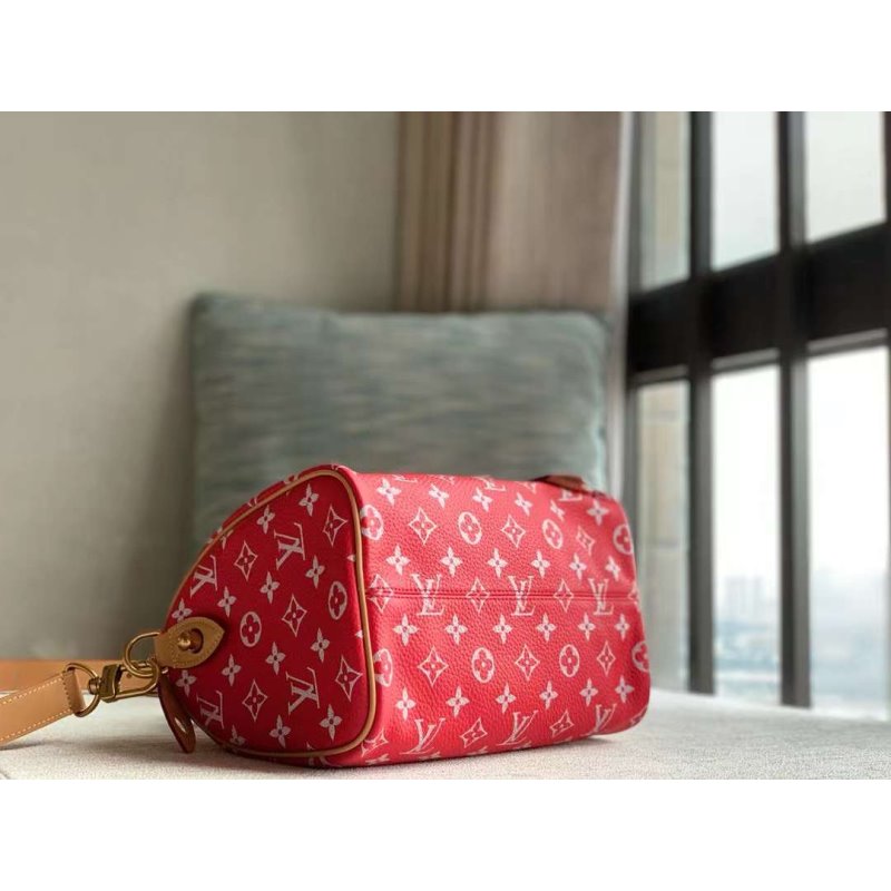Louis Vuitton Speedy Hand Bag BG030509