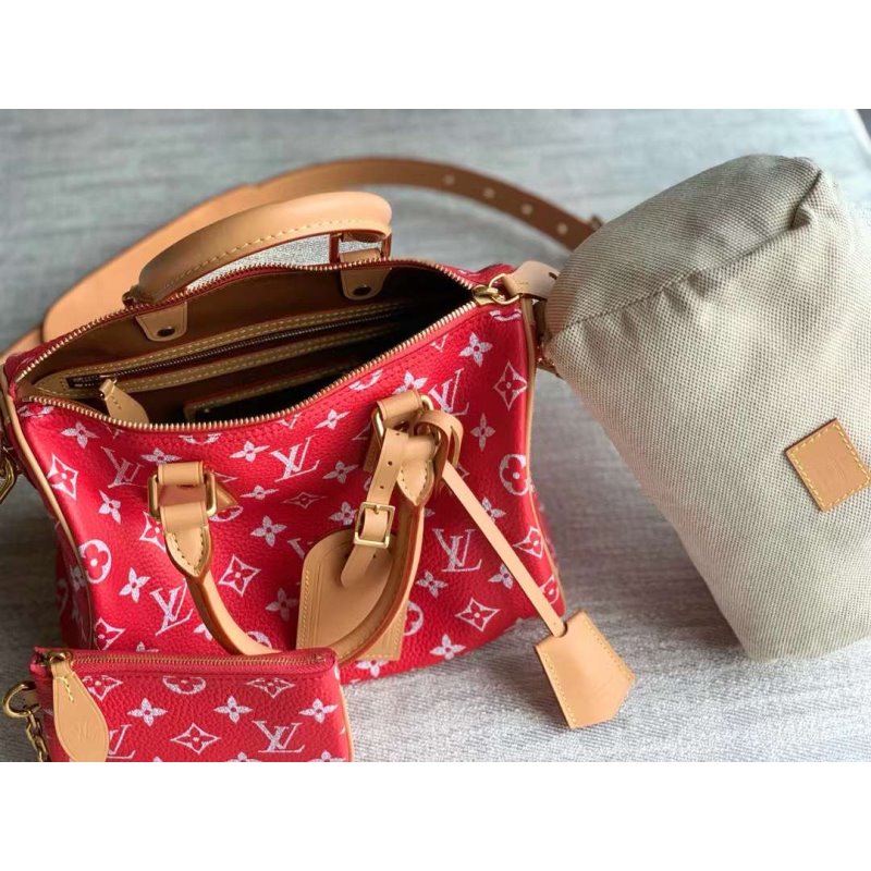 Louis Vuitton Speedy Hand Bag BG030509