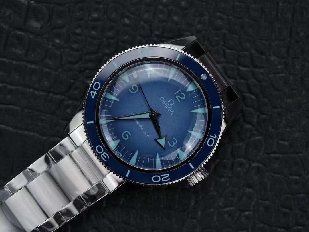 Omega Seahorse 300 Series Wrist Watch WAT02056