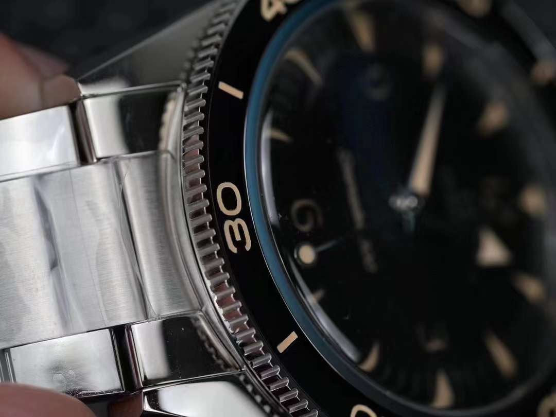 Omega Seahorse 300 Series Wrist Watch WAT02056