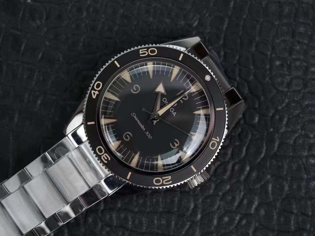 Omega Seahorse 300 Series Wrist Watch WAT02057