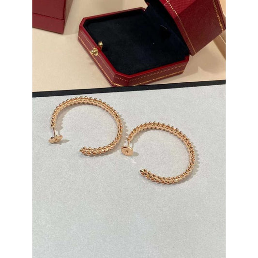 Cartier Earrings JWL01147