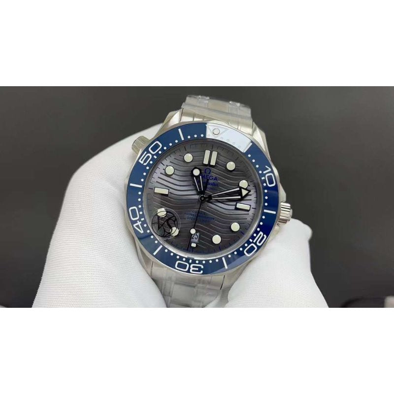 Omega Seahorse 300 Series Wrist Watch WAT02281