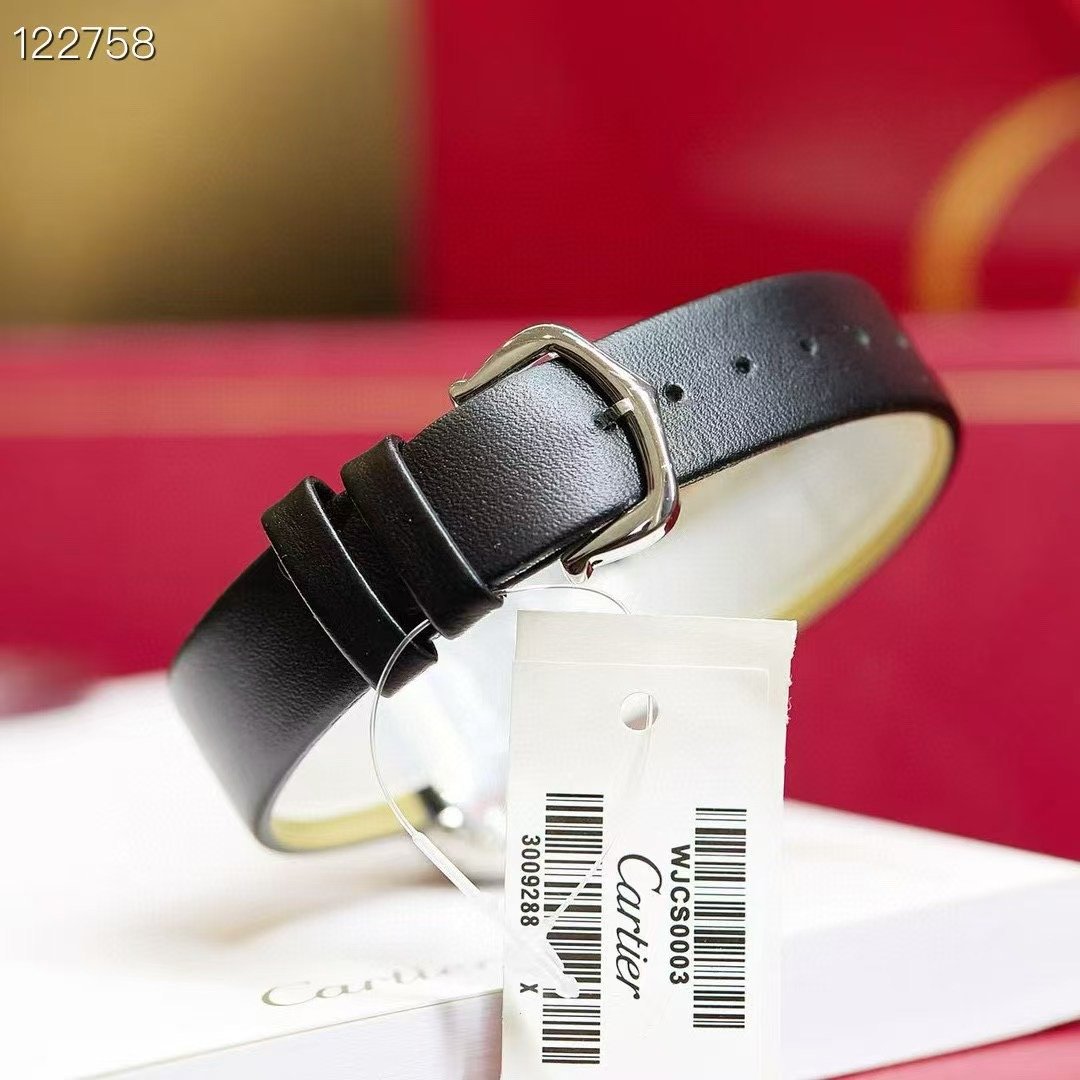 Cartier Haute Jaoillerie  Wrist Watch WTJN25093