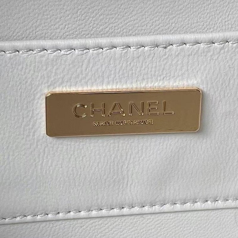 Chanel Camera Bag BG02778