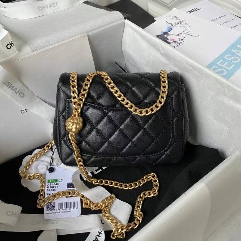 Chanel Flap Bag BG02813