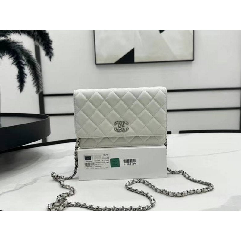 Chanel WOC Bag BG02752