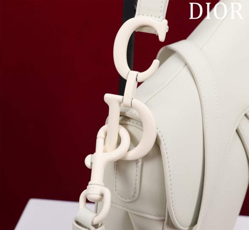 Dior Saddle Bag BG02364