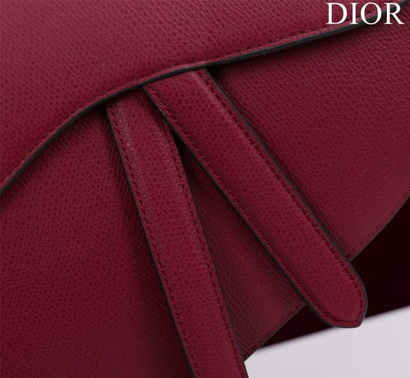 Dior Saddle Bag BG02366