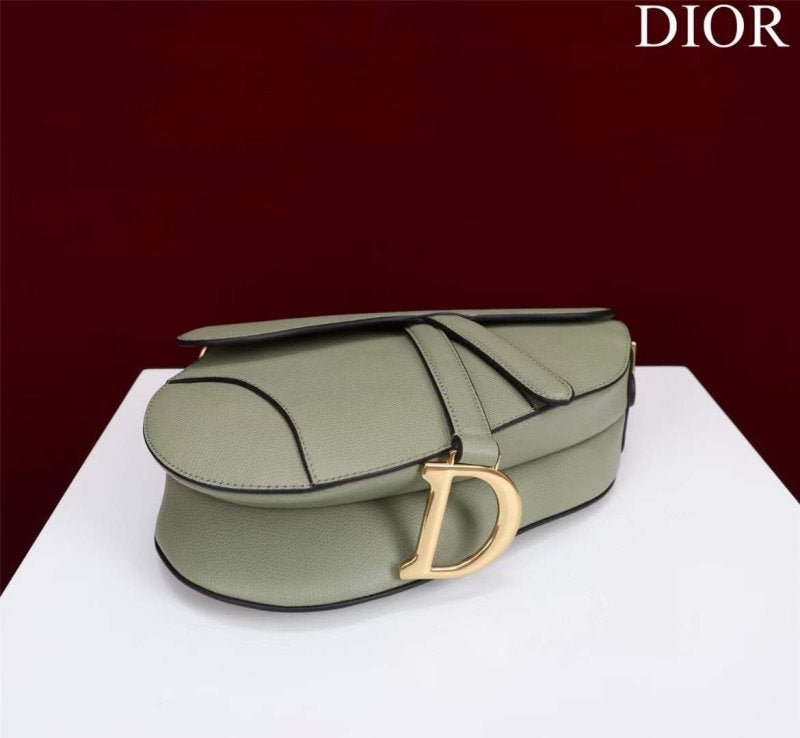 Dior Saddle Bag BG02367