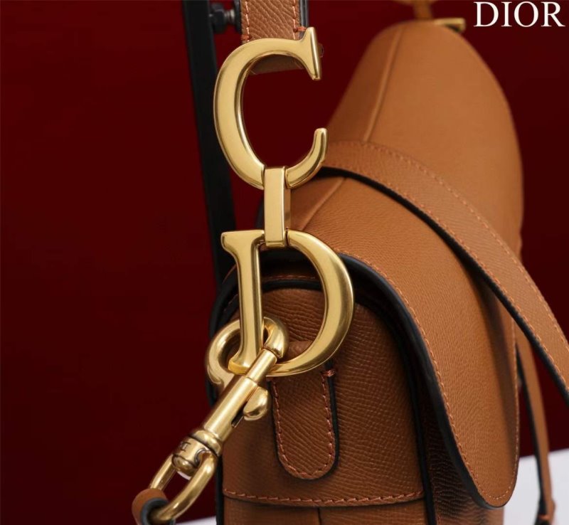 Dior Saddle Bag BG02371