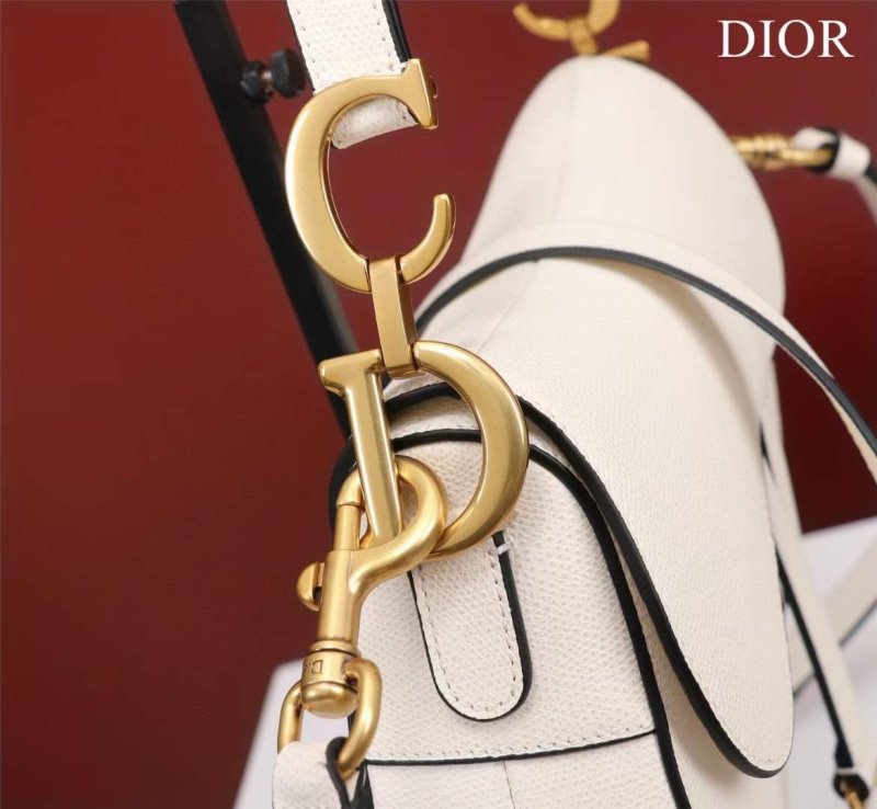 Dior Saddle Bag BG02373