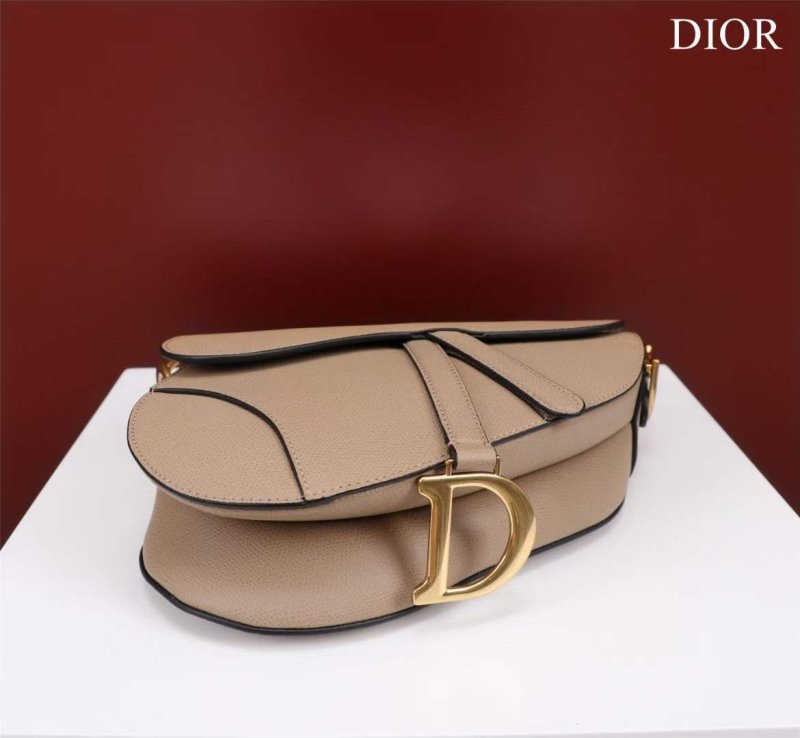 Dior Saddle Bag BG02374