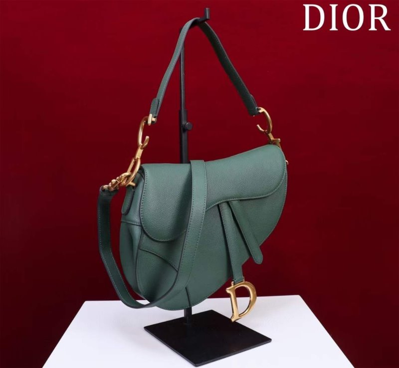 Dior Saddle Bag BG02376