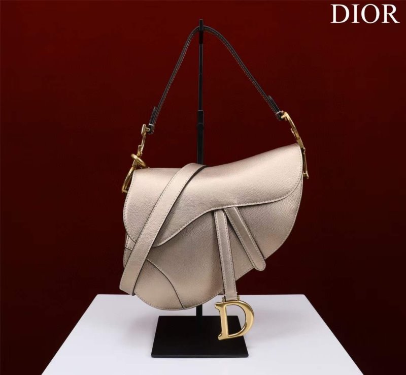 Dior Saddle Bag BG02377