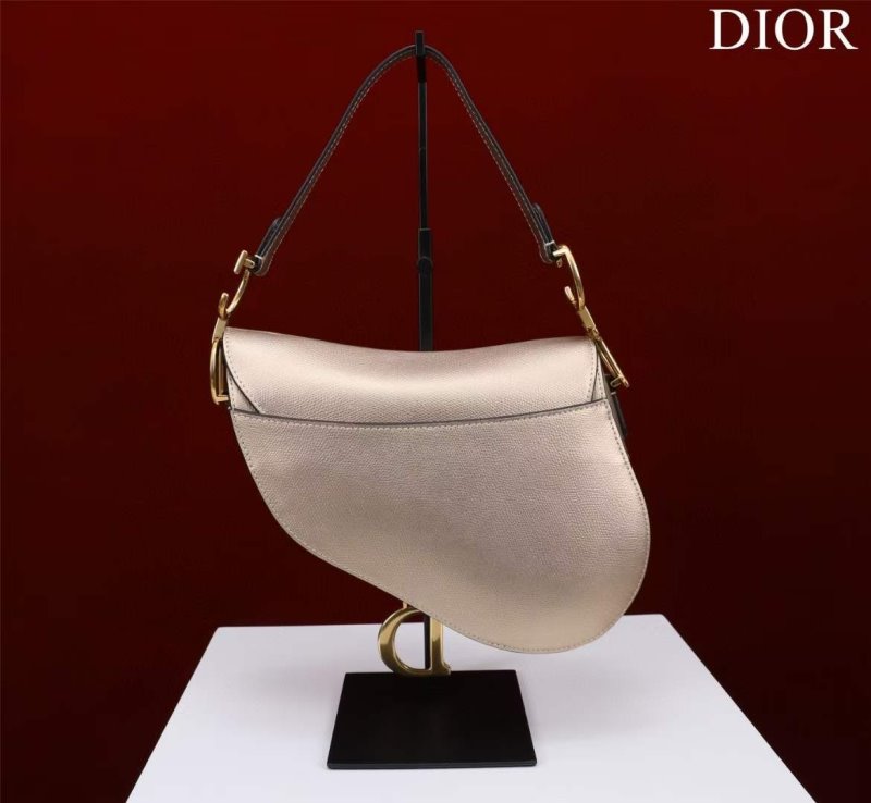 Dior Saddle Bag BG02377