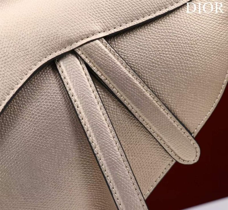 Dior Saddle Bag BG02377