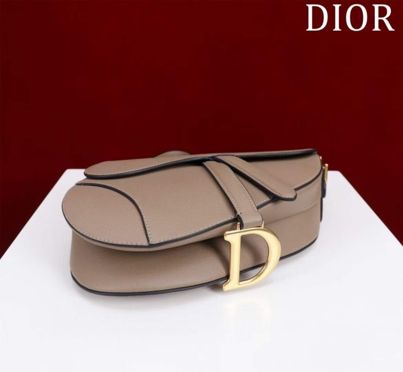 Dior Saddle Bag BG02378