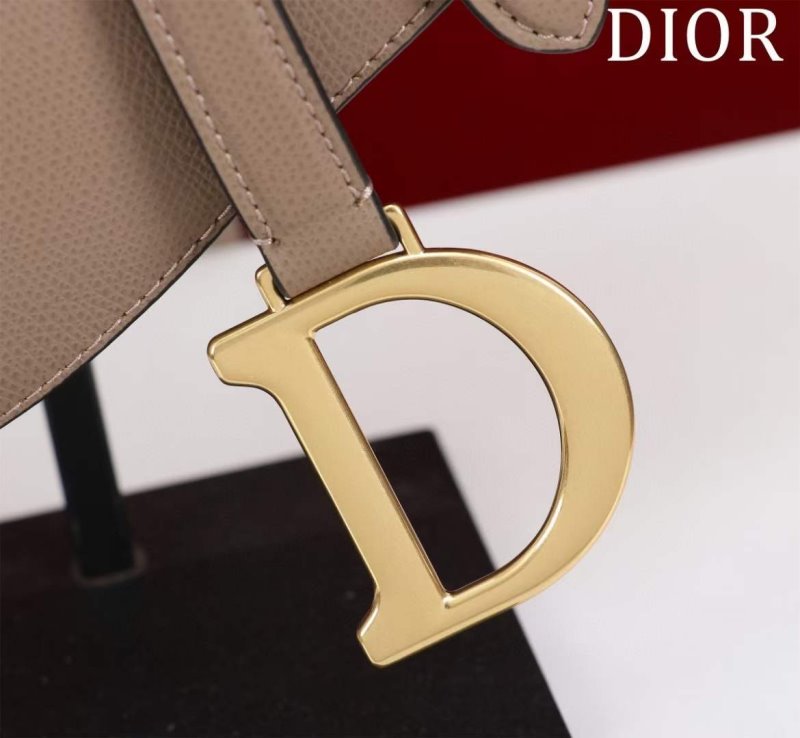 Dior Saddle Bag BG02378