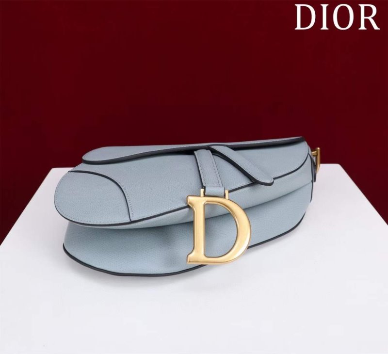 Dior Saddle Bag BG02379