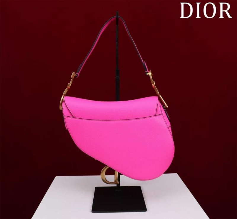Dior Saddle Bag BG02381
