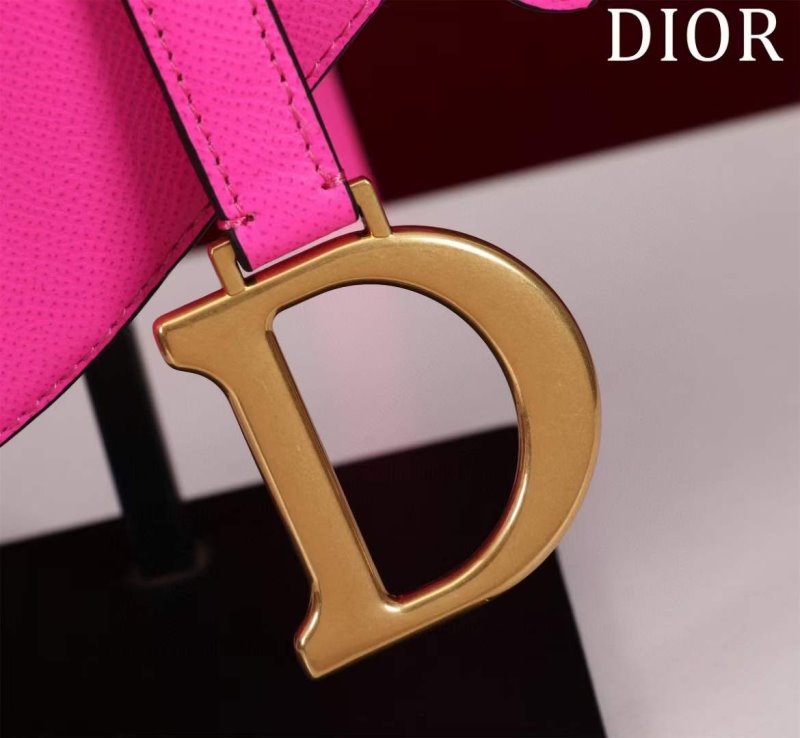Dior Saddle Bag BG02381