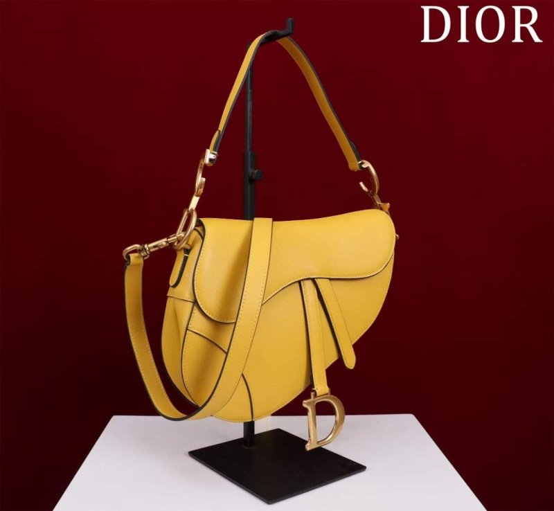 Dior Saddle Bag BG02382