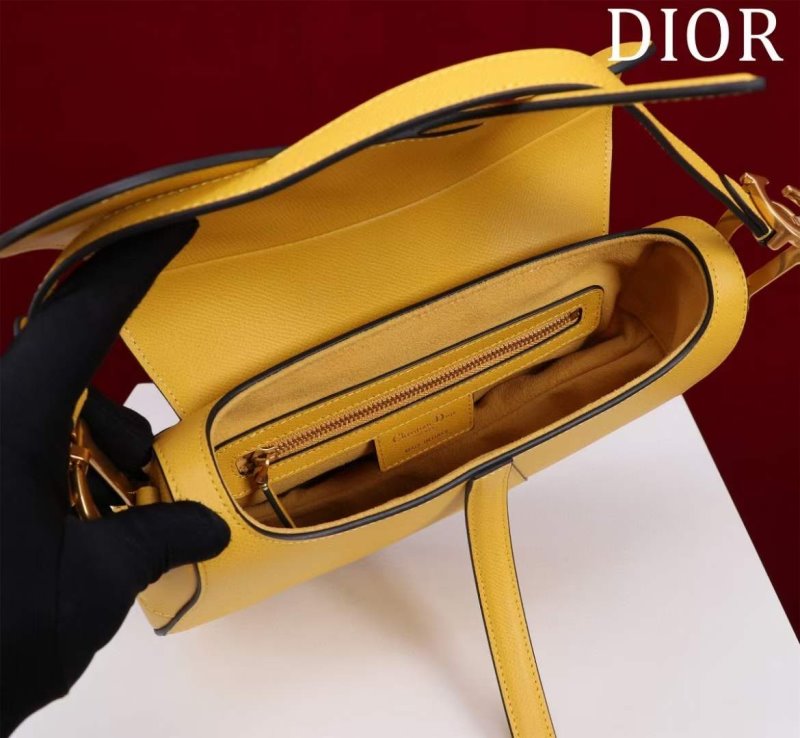 Dior Saddle Bag BG02382