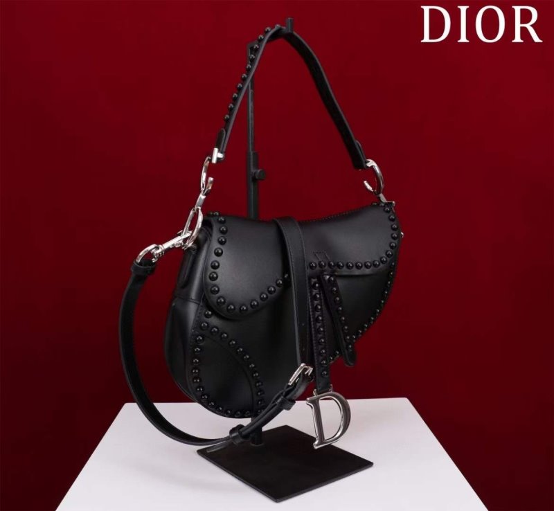 Dior Saddle Bag BG02385