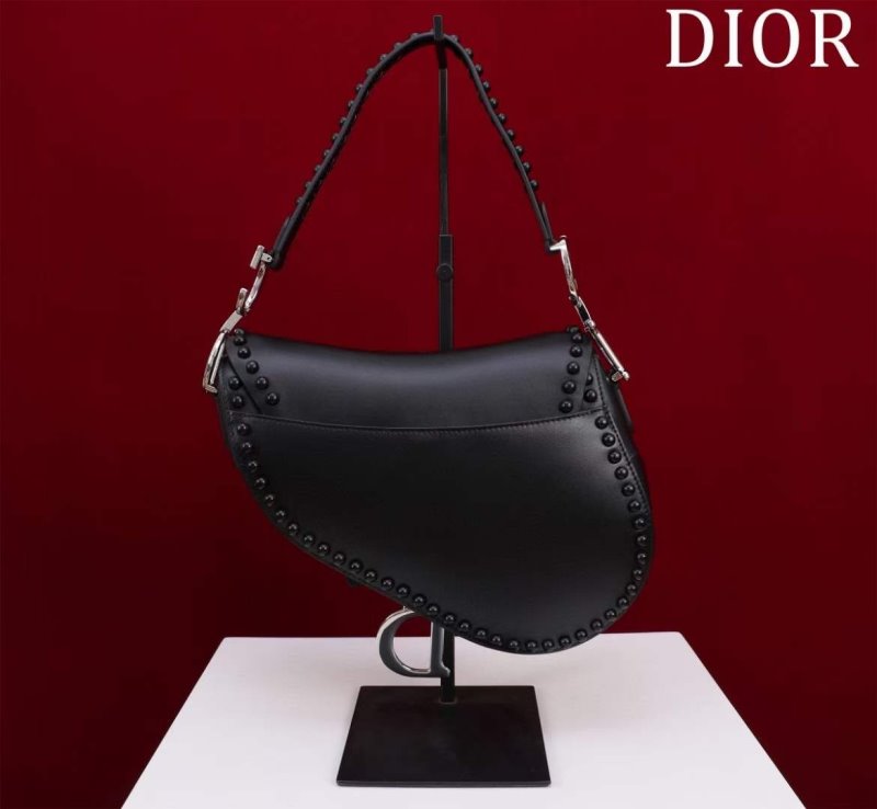 Dior Saddle Bag BG02385