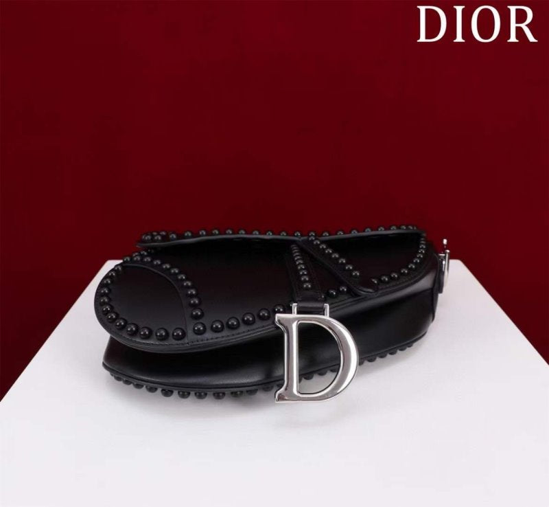 Dior Saddle Bag BG02385