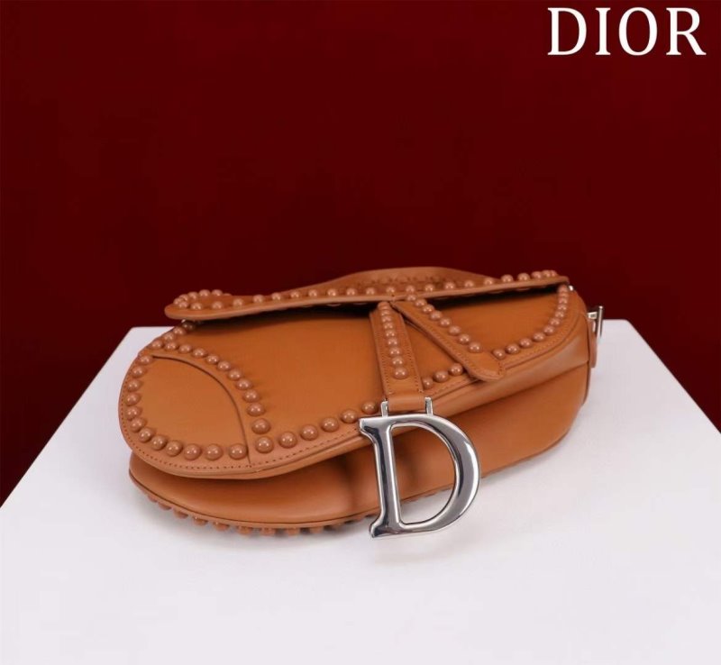 Dior Saddle Bag BG02386