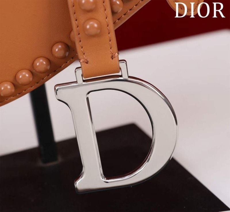 Dior Saddle Bag BG02386