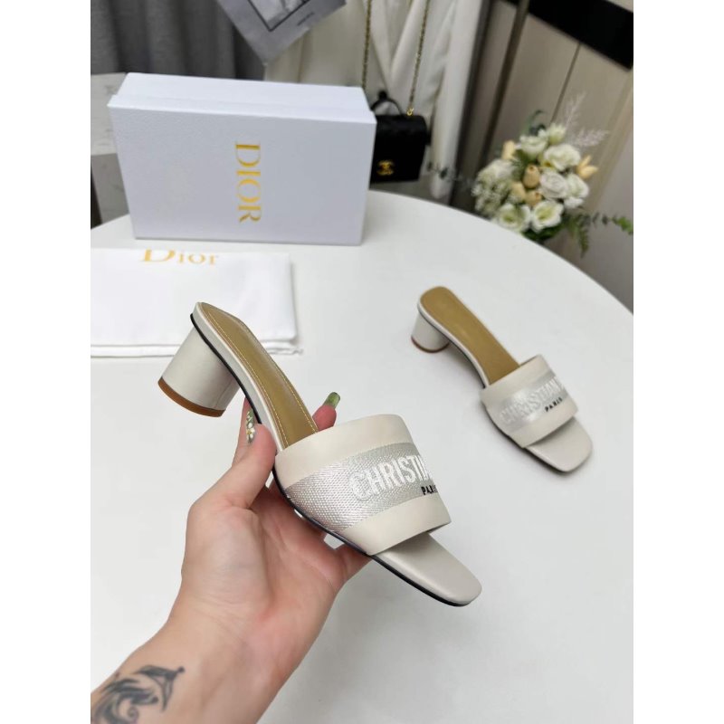 Dior Summer Slippers SH010677