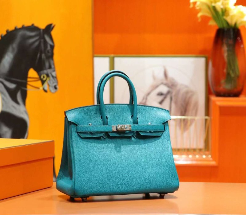 Hermes Birkin Bag BG02480