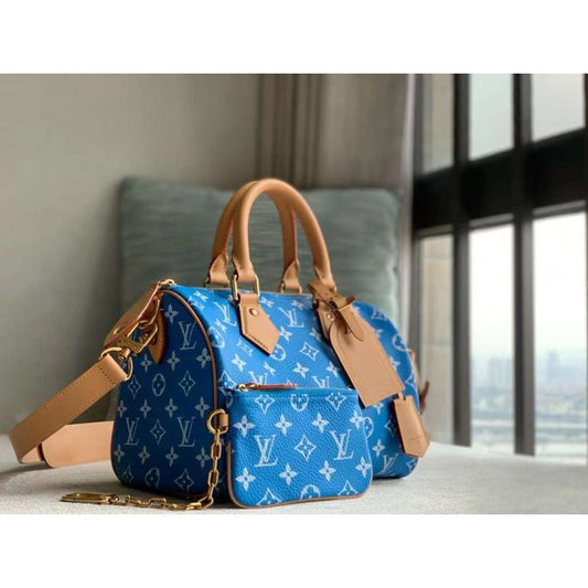 Louis Vuitton Speedy Hand Bag BG030507