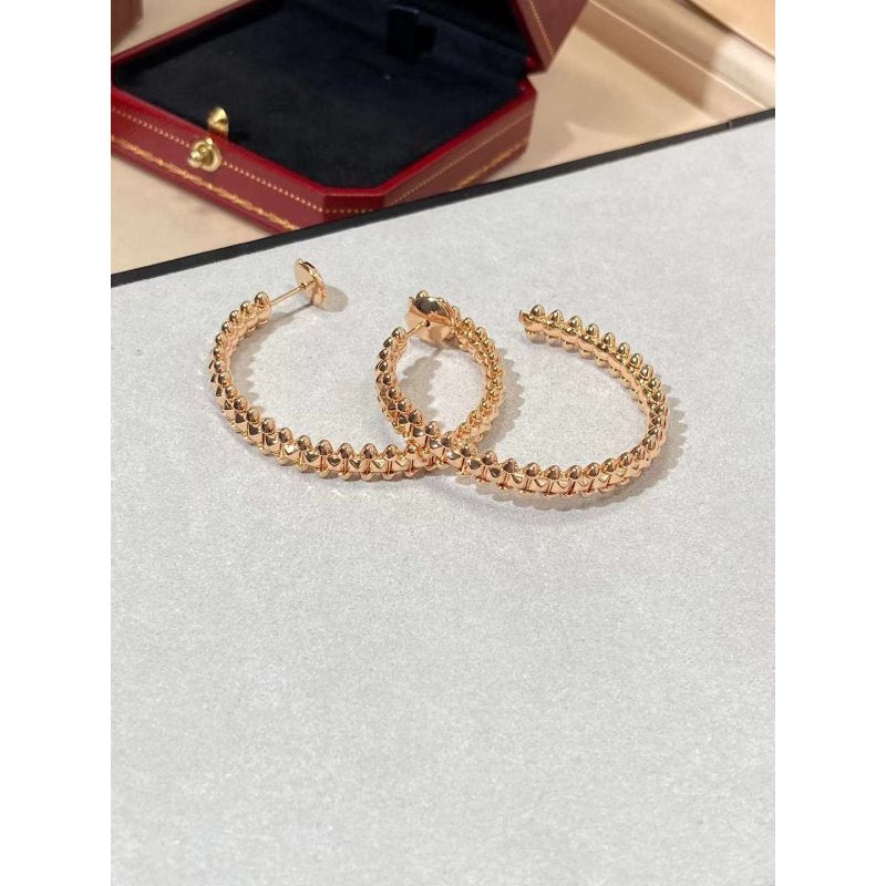 Cartier Earrings JWL01147