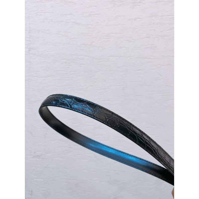 Celine Triomphe Cowhide Belt WB001121