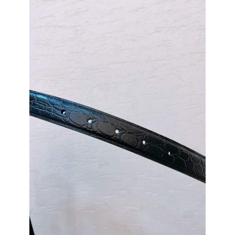Celine Triomphe Cowhide Belt WB001122