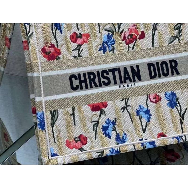Dior Book Tote BGMP1817