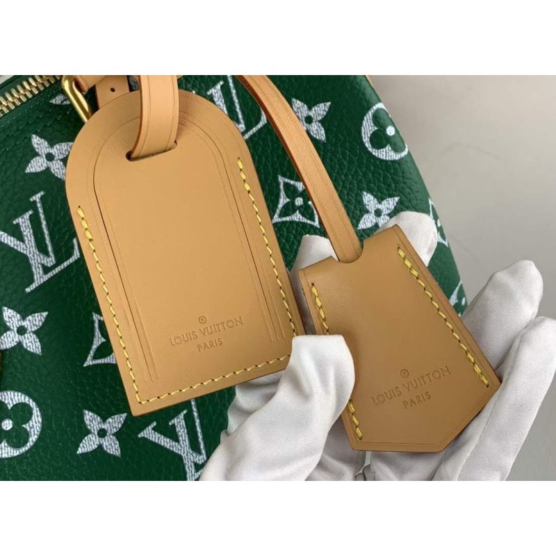 Louis Vuitton Bandouliere Hand Bag BG02021